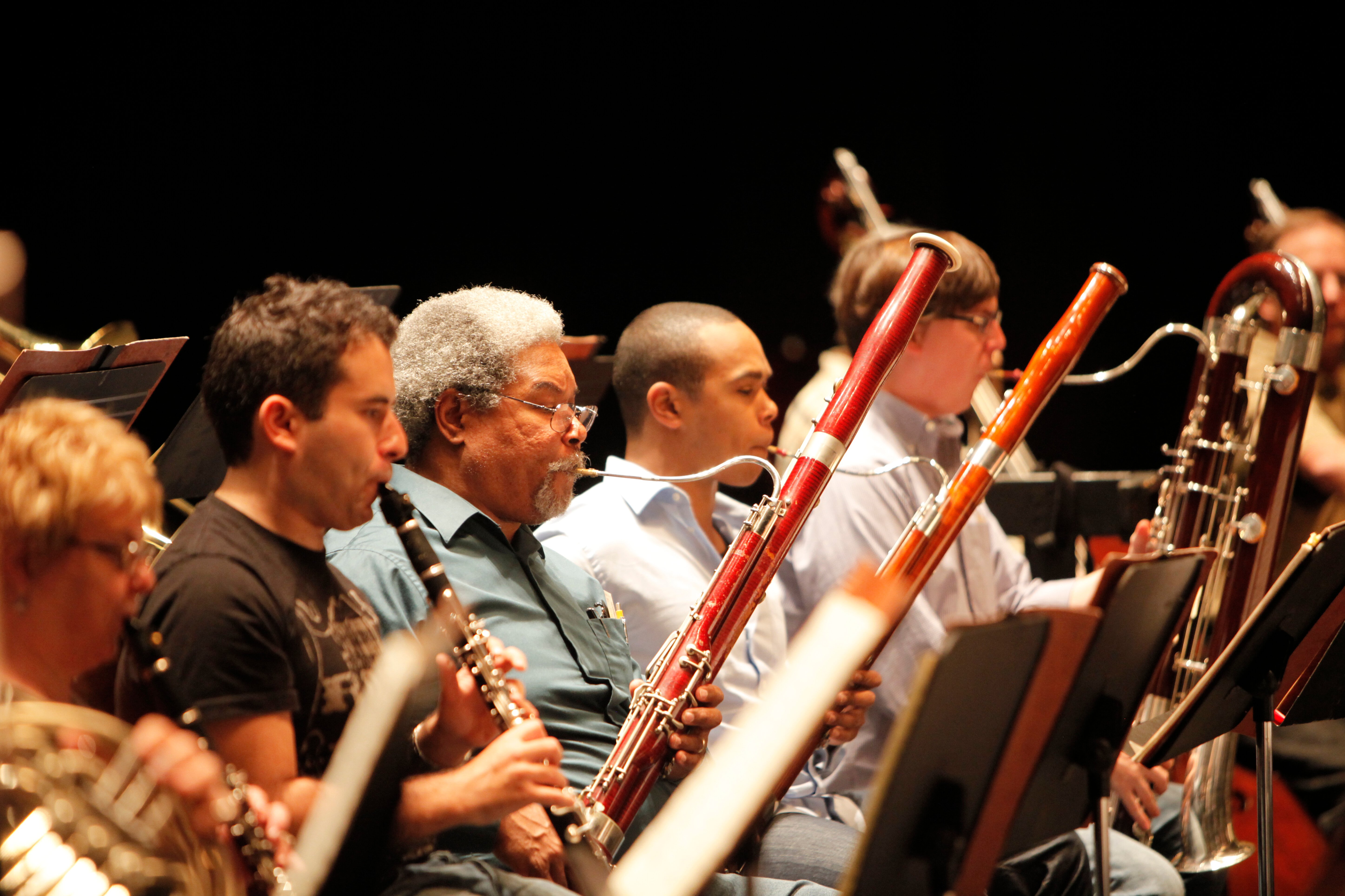 Opera orchestra woodwind section